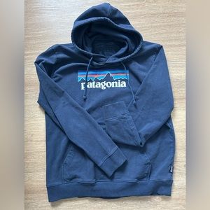 Patagonia Men’s L Hoodie